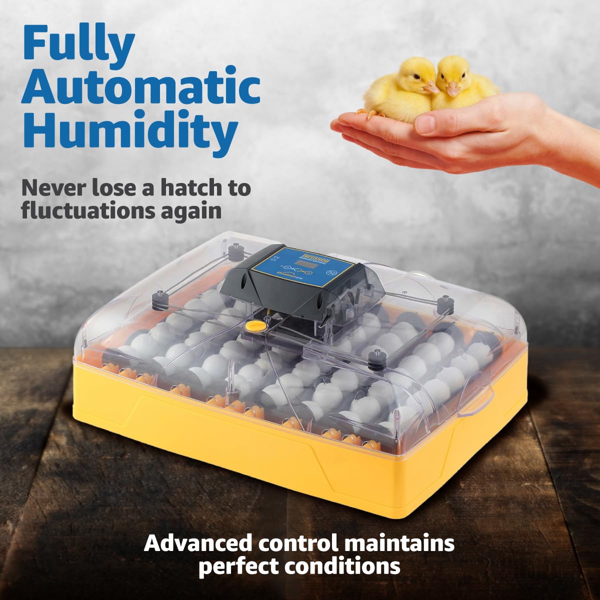 Brinsea Ovation 56 EX 56-Egg Incubator with Automatic Humidity Control - Incubators for Hatching Eggs with Digital Alarms - Programmable Turning for Chicken and Duck