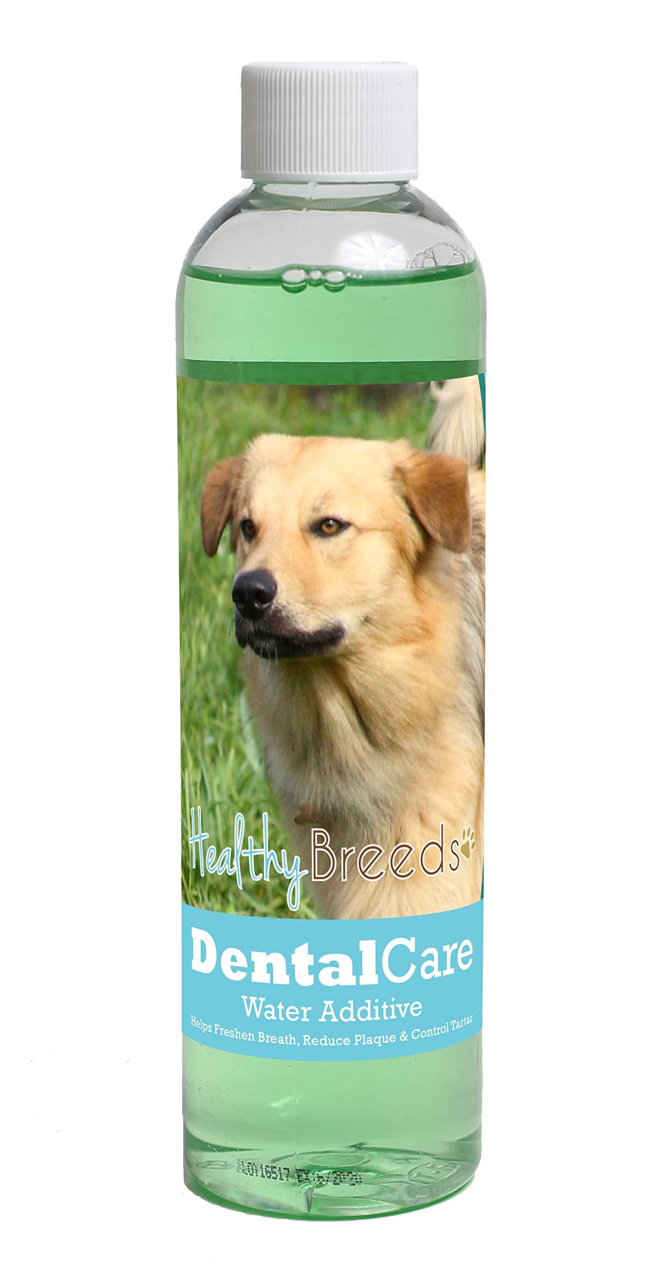 Healthy Breeds Dog Dental Care Water Additive for Chinook - Helps Freshen Breath, Reduce Plaque &amp; Control Tartar - Mint Flavor - 8 oz