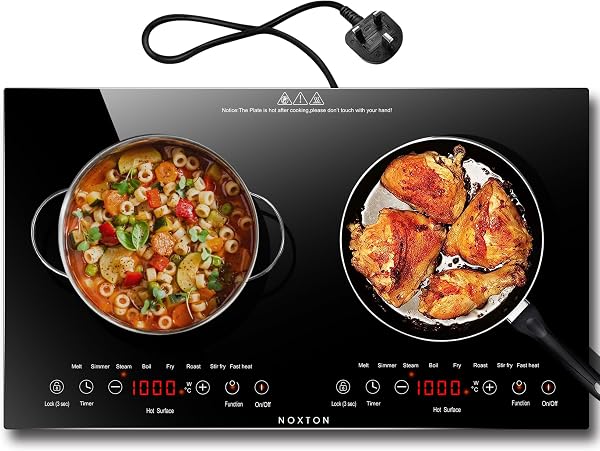 Noxton Double Ceramic Hob, Double Electric Hob Portable 30cm with 4-Hour Timer, 9 Power up to 2800W, Safety Lock, for All Type Pot - 1