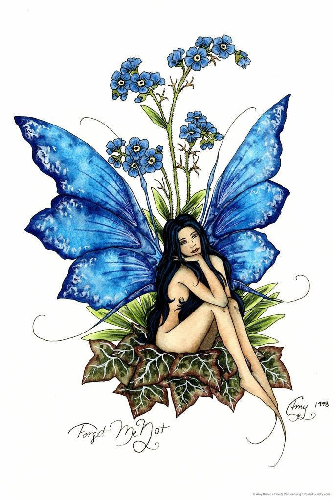 Amazon.com: Forget Me Not by Amy Brown Cool Wall Art Print Poster