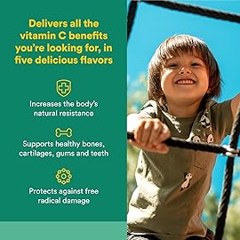 Natural Factors Kids Chewable Vitamin C 500 mg, Supports Immune Health, Bones, Teeth and Gums, Tropical, 90 Wafers