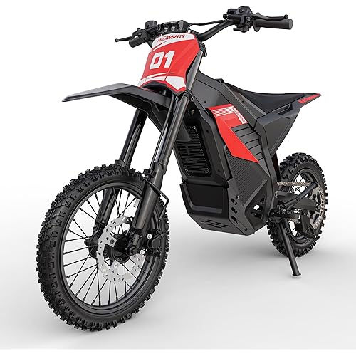 D2 Electric Dirt Bike, 4250W | 45MPH | 48V/26AH Battery Electric-Motorcycle with 60Miles, Off-Road E Dirt Bike with Hydraulic Brakes & Dual Shock Absorption, 14"/12" Fat Tire Ebike for Teens & Adults