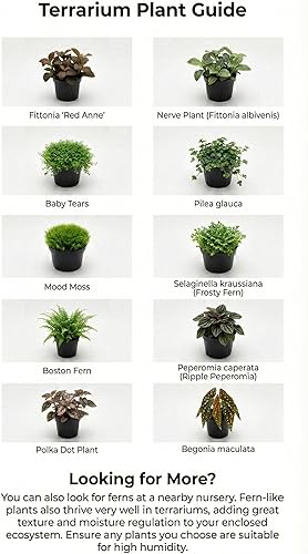 Miniatura 5 de DIY Terrarium Kit with 13 Items Soil Pebbles Sphagnum Moss Activated Carbon Burlap Peat Moss Terrarium Tools Indoor Garden Make Your Own Terrarium