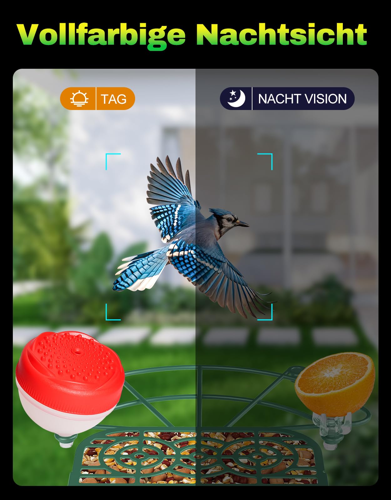4UMOR Vogelfutterhaus mit Kamera, KI-Vogelerkennung Live-Beobachtung Automatische Aufnahme Solarbetrieb Metall Vogelfutter mit Eichhörnchensicher WLAN & Nachtsicht IP65 Wasserdicht 2K HD Video Smart
