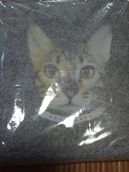 Amazon.co.jp: BUCK-TICK あっちゃん櫻井敦司 猫くるみ ミラー