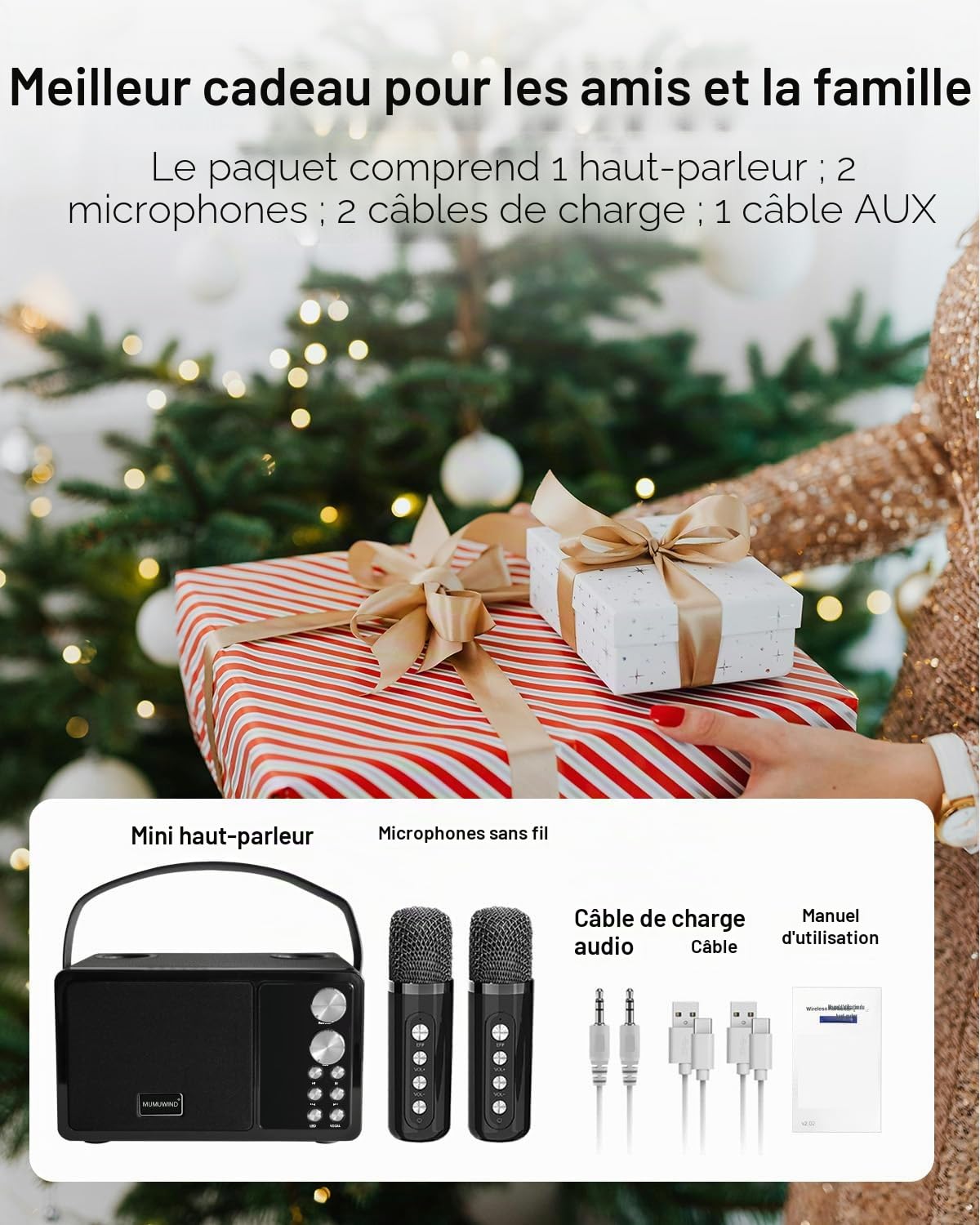 Karaoke Adulte et Enfant, Machine de Karaoké avec 2 Microphones sans Fil, kit Karaoke Complet Portable Enceinte Karaoke Bluetooth, Dispose 7 Effets Sonores, pour Fête et Voyage (Black)