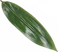 Vista 2 de Restaurantware Doja - Hojas de bambú de 11.8 x 3.5 pulgadas, 1000 hojas de bambú frescas, selladas al vacío, hojas ecológicas de bambú duraderas