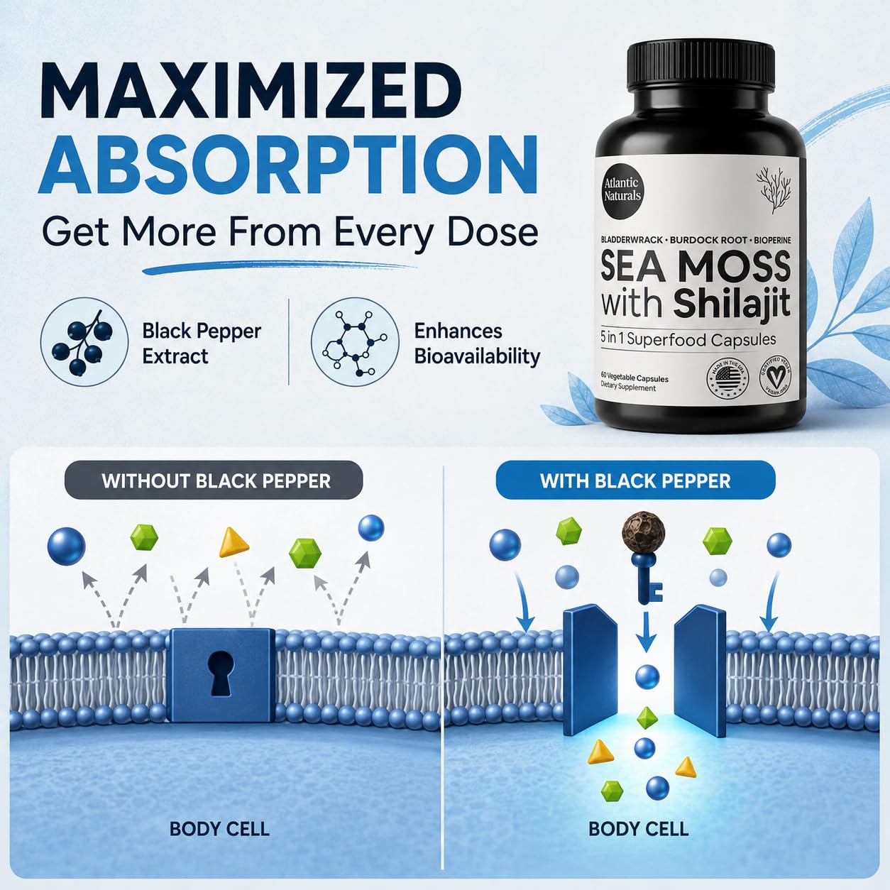 Atlantic Naturals Irish Sea Moss and Shilajit Capsules – 5-in-1 Shilajit Supplement for Men & Women with Bladderwrack, Burdock Root & Black Pepper – Energy, Vitality & Immunity – 2705mg, 60 Servings — Amazon image 6