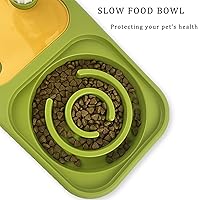 Vista 2 de Juego de cuencos de comida y agua para perros y gatos, cuencos dobles para alimentos con botella de agua por gravedad automática, alimentador lento