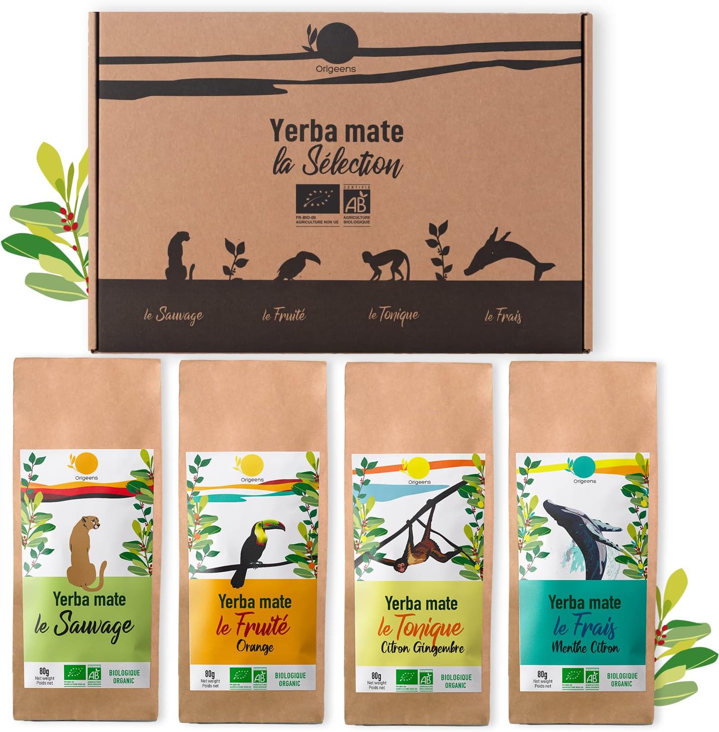 – Organic Yerba Mate Set x4 | Organic Yerba Mate Tea 4x80gr | Mate Set, Gift Idea