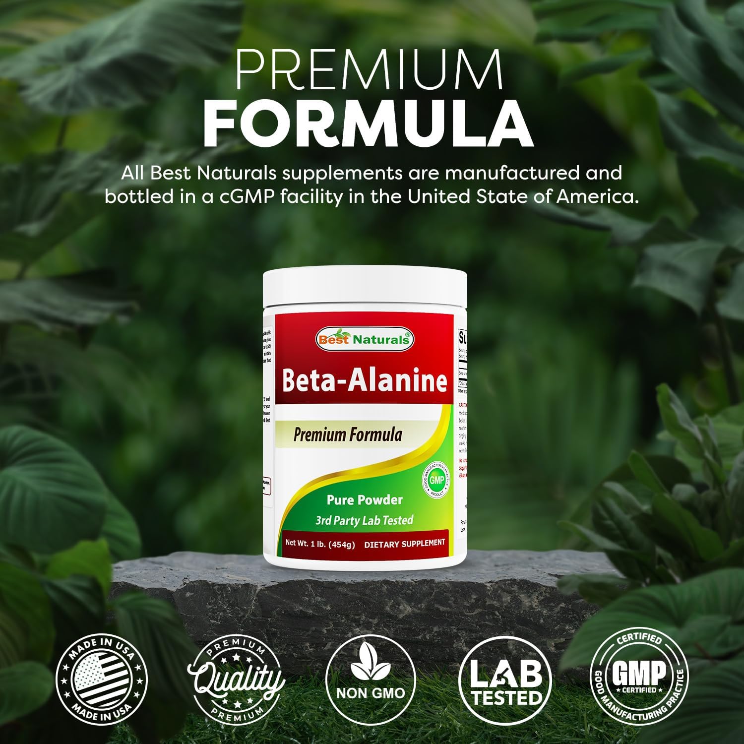 Best Naturals Beta Alanine Pure Powder 1 Pound (1 LB (Pack of 2))