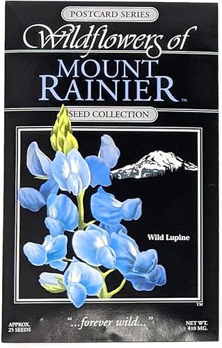Mount Rainier - Paquete de semillas de flores silvestres de altramuces sil