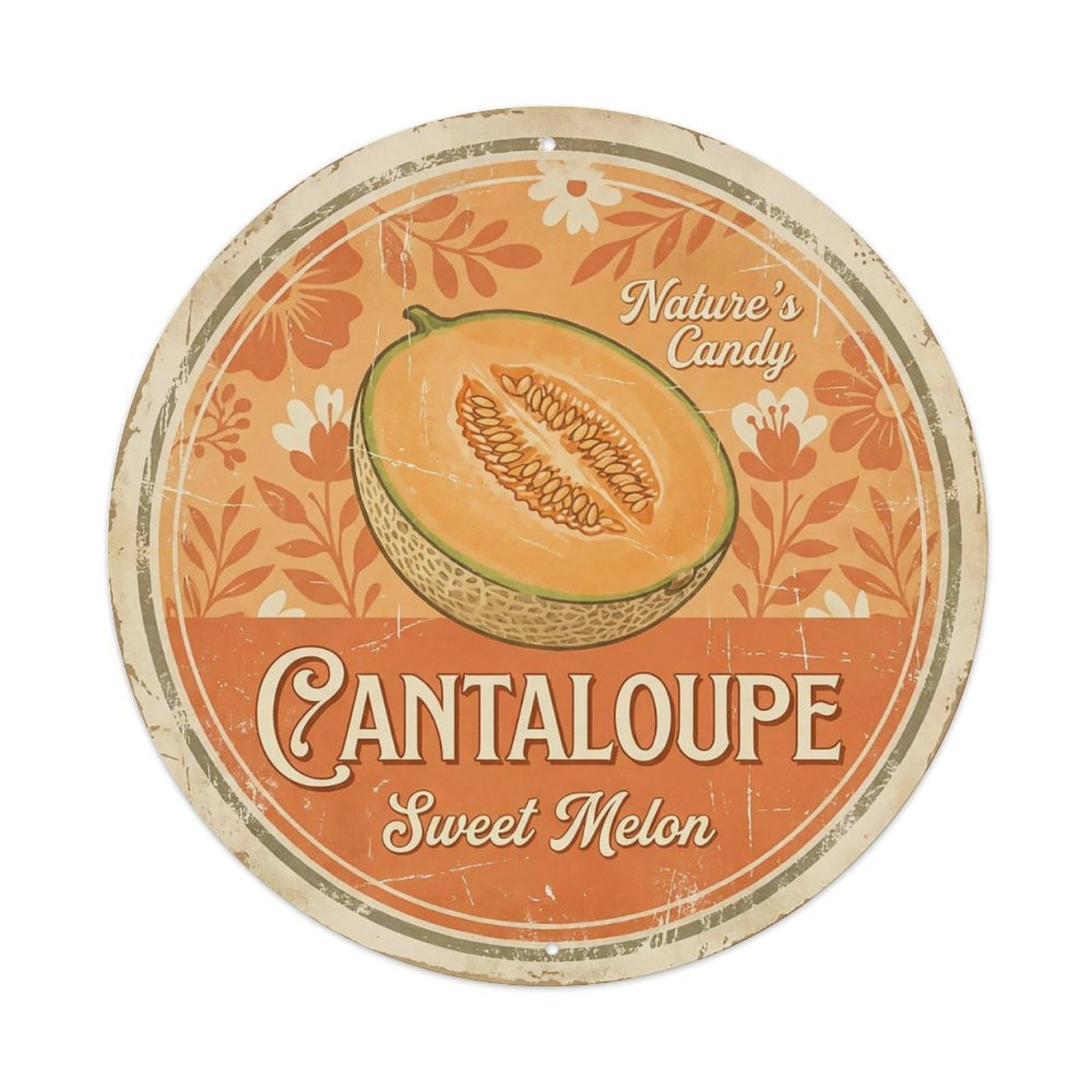 Cxhjca 8X8inch(20X20cm) Vintage Cottagecore Garden Cantaloupe Melon Orange Metal Tin Sign