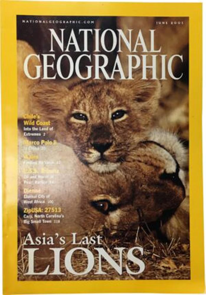 National Geographic (Back Issue Magazine) June 2001 (Asia's