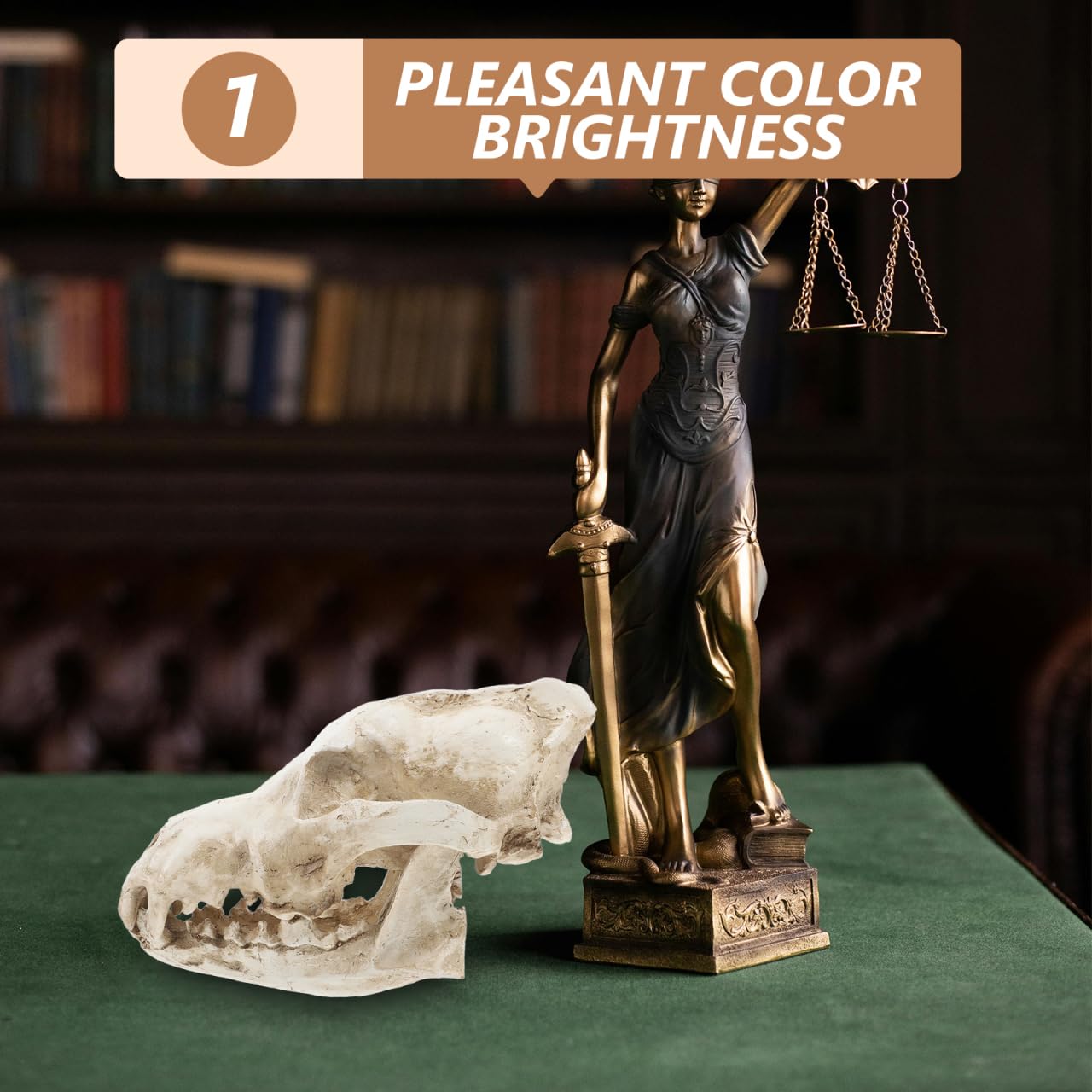 Animaux Animaux Tête de Loup Tête de Loup Squelette Squelette Résine Sculpture Animal Crâne Sculpture pour Enseignement Accessoire Décoration Maison Bureau Reptile Décor Reptile
