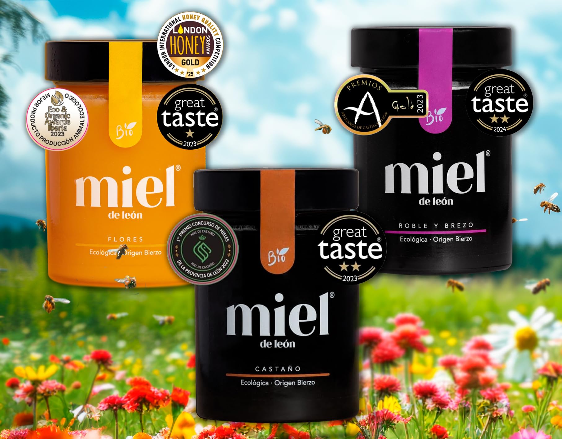 Miele puro d'api. Confezione 6 Mieli 450gr ciascuno. 1) Di fiori. 2) Di Erica e Quercia. 3) Di Castagno. Prodotto artigianale di propria raccolta. Origine: Spagna.