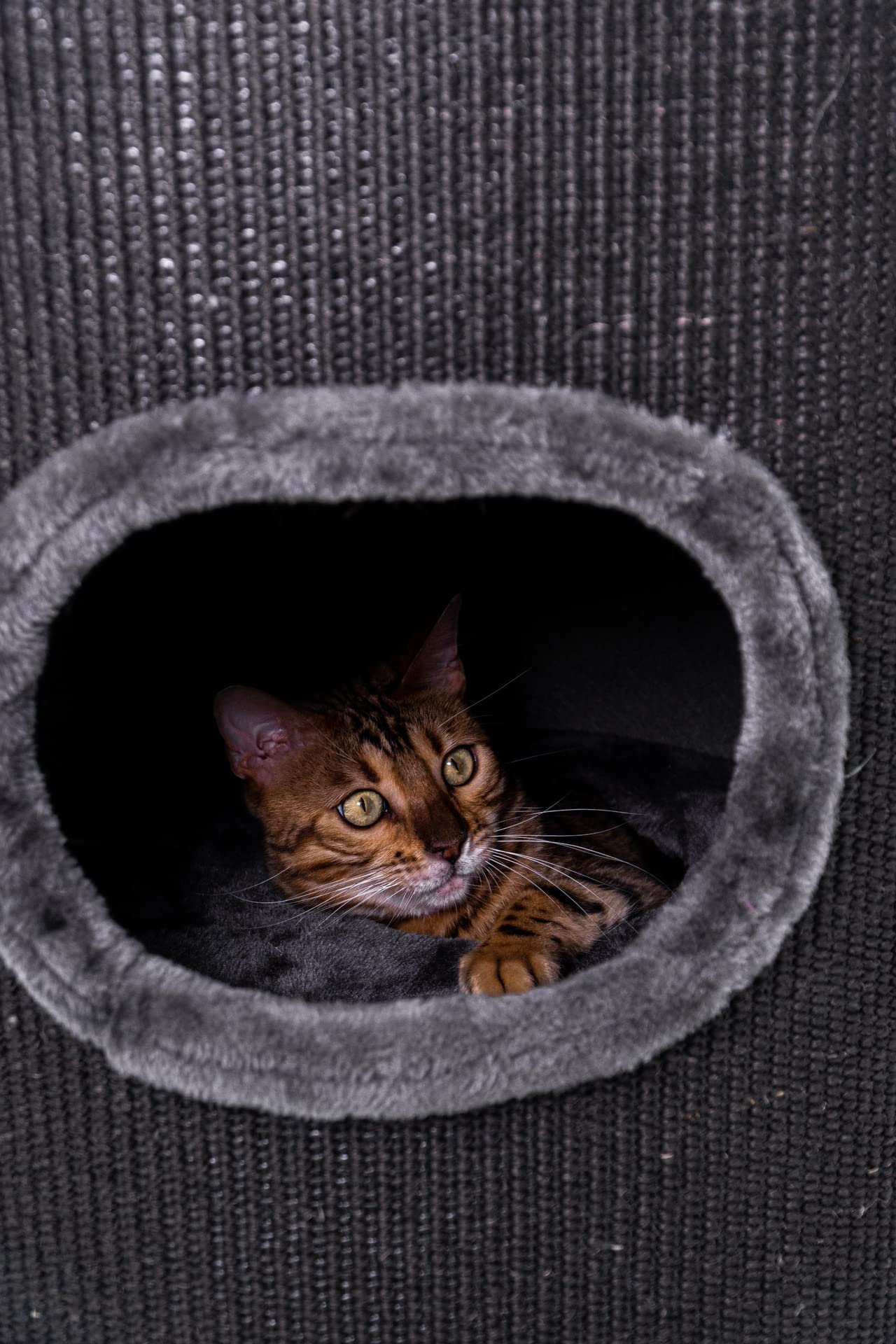 Petrebels Griffoir Dome 110 Noir, Ø 45 x 110 cm de Haut, qualité Premium et Extra Stable/Lourd
