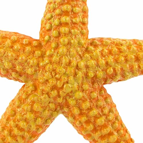 Miniatura 8 de Safari Ltd. Figura de estrella de mar, vibrante figura de estrella de mar de 4.5 pulgadas, juguete educativo para niños, niñas y niños a partir de 3