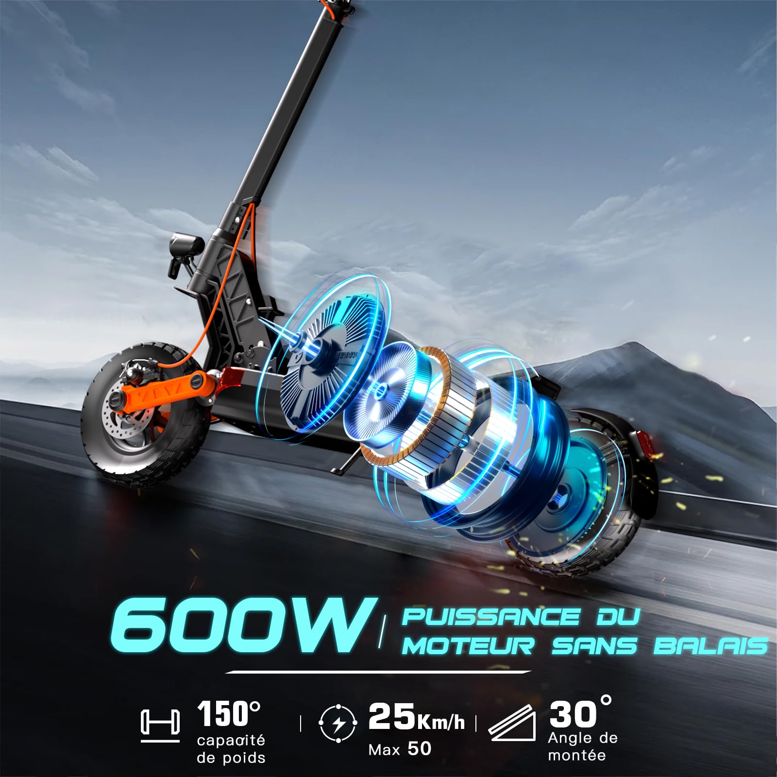 JOYOR S5-Z Trottinette Electrique Adulte Professionnelle Moteur 600W (800W Puissance Pointée) 48V 13Ah Autonomie 65km Suspension Double Pneus Tout Terrain 10 Pouces Trotinette Electrique pour Travail