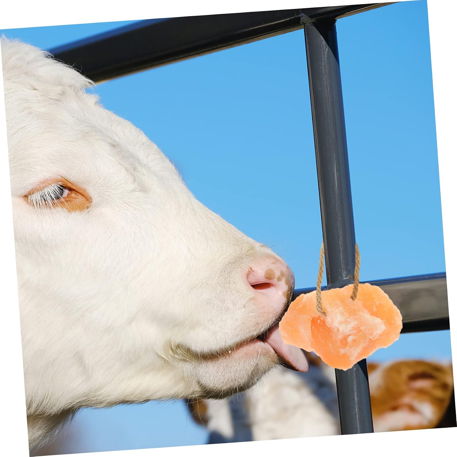 2kg Natural Livestock Salt Lick Block Firm Salt Safe Hanging Animals Lick