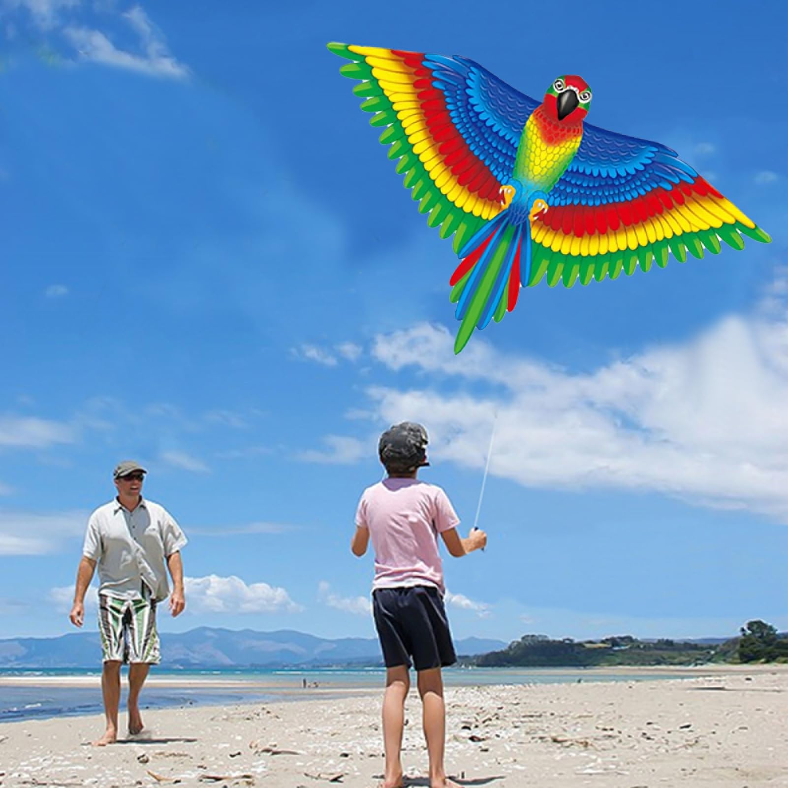 Grand cerf-volant coloré pour débutant, 133 x 96,5 cm, longue queue, poignée d'enroulement et ligne pour enfants et adultes, plage et activités de plein air
