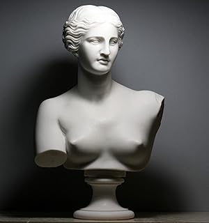 Aphrodite Goddess Venus de Milo Bust Head Greek Cast Marble Sculpture 20.8