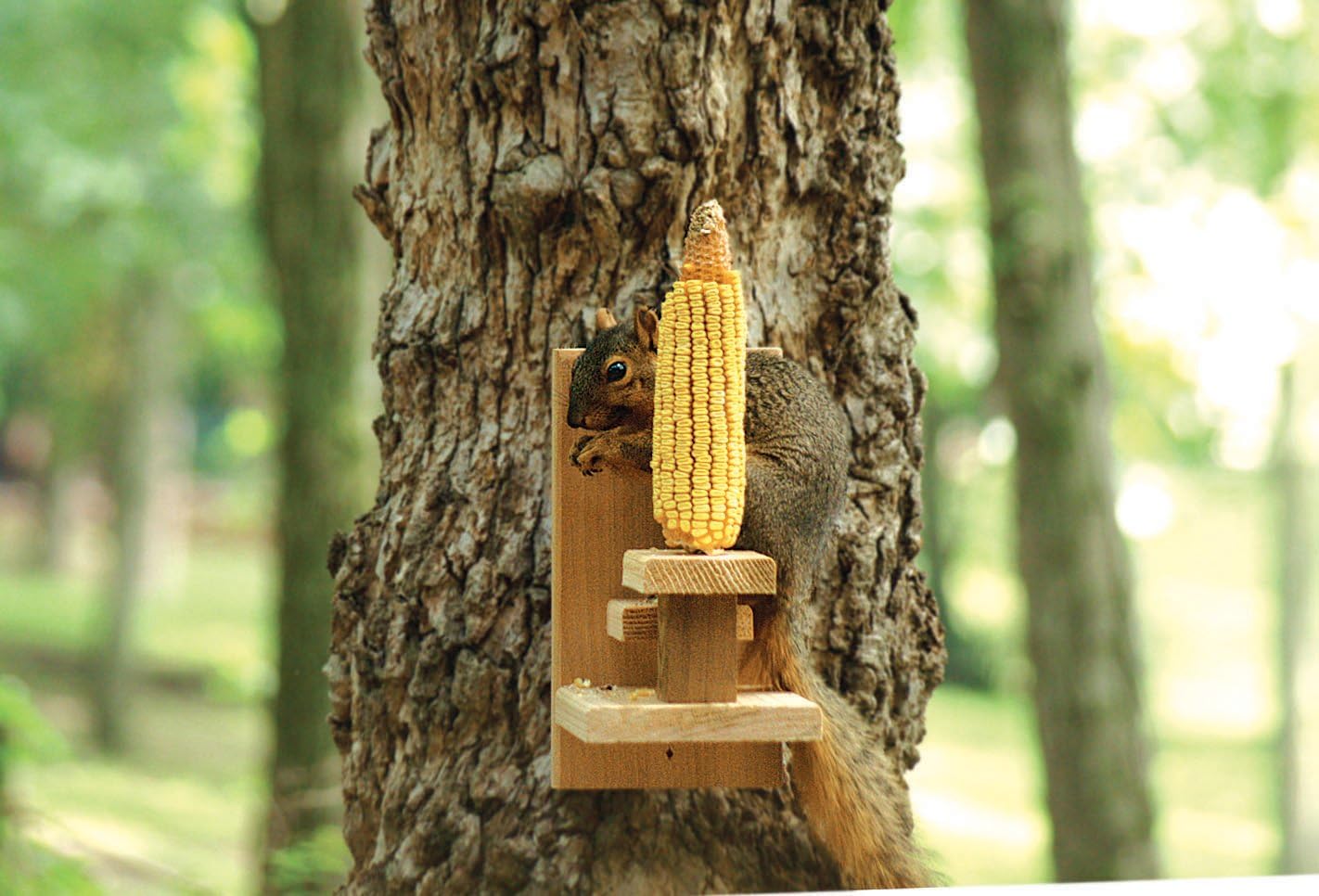 Woodlink NASQCHAIR Audubon Squirrel Single Ear Corn Holder,Beige