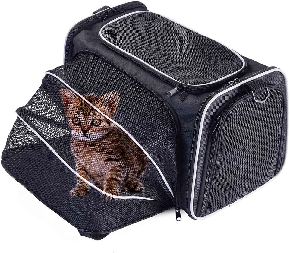 Pettom 16x11x9 Inches Expandable Foldable Soft-Sided Travel Carrier for Dog and Cat Black
