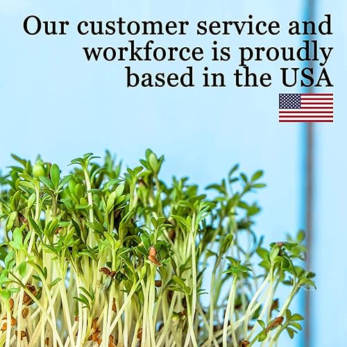 Miniatura 8 de Bandejas de cultivo de jardín de 10 x 10 pulgadas con agujeros de drenaje, paquete de 50 bandejas de plástico reciclables para plantas para bandeja