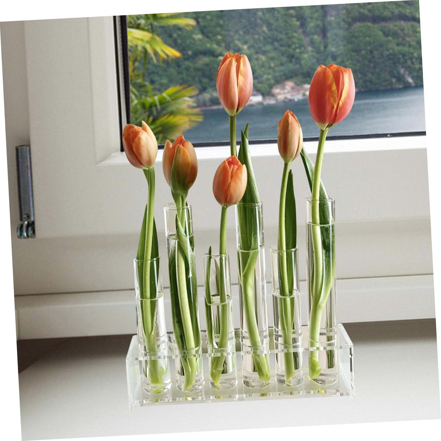 POPETPOP Tube à Essai Verre Transparent pour Plantes Hydroponiques pour Décors De Bureau Et Stations De Propagation Vase Décoratif