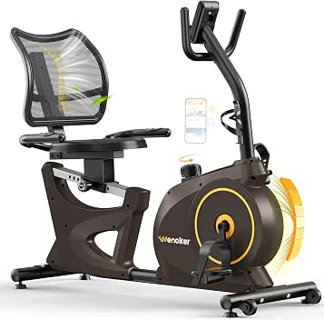 Wenoker Exercise Bike ergometer