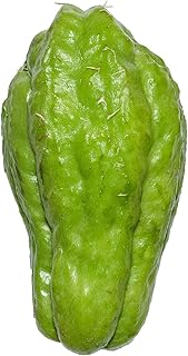 Fresh Chayote Squash, 1 Pound