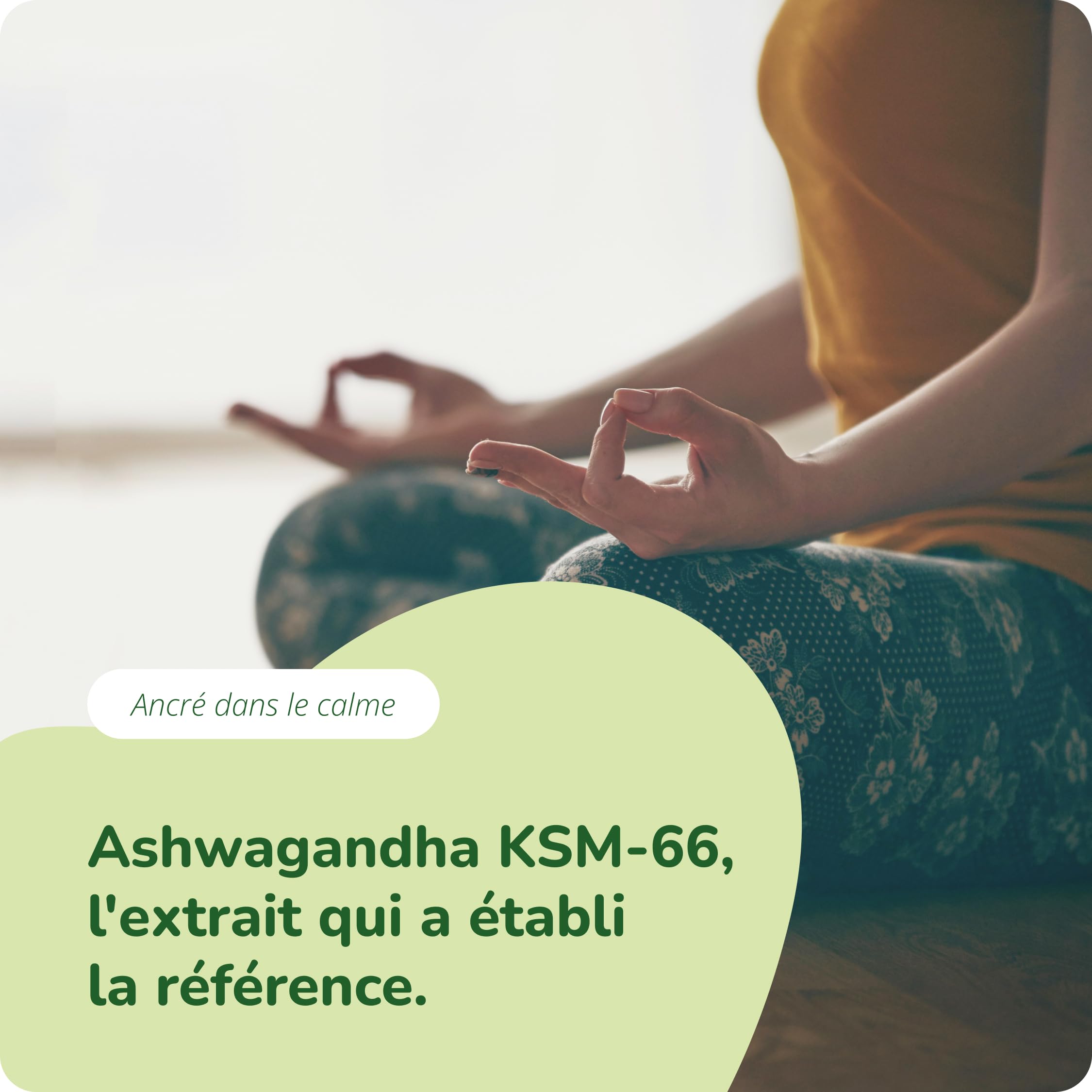 Ashwagandha KSM-66® BIO | Dosage Elevé : 600 mg | 3 MOIS | Anti Stress + Sommeil | 5% Withanolides | BIOLOGIQUE et VEGAN | Vegavero®
