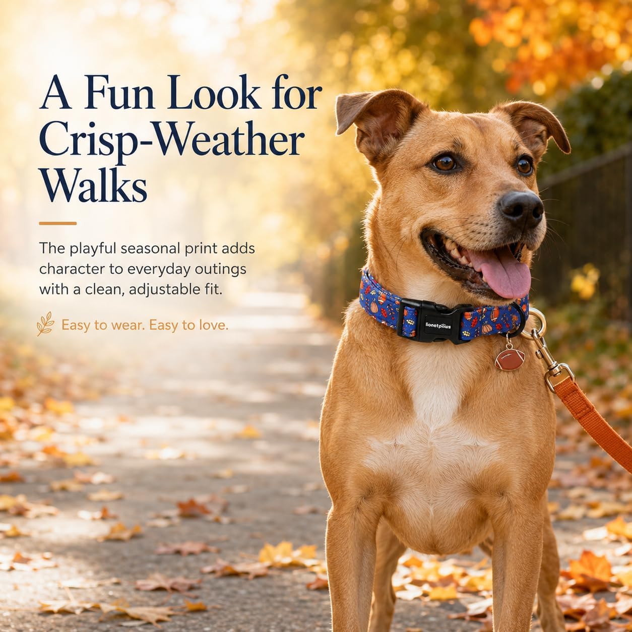 LIONET PAWS Fall Dog Collar for Small Medium Large Dogs Rugby Pumpkin XS image 4