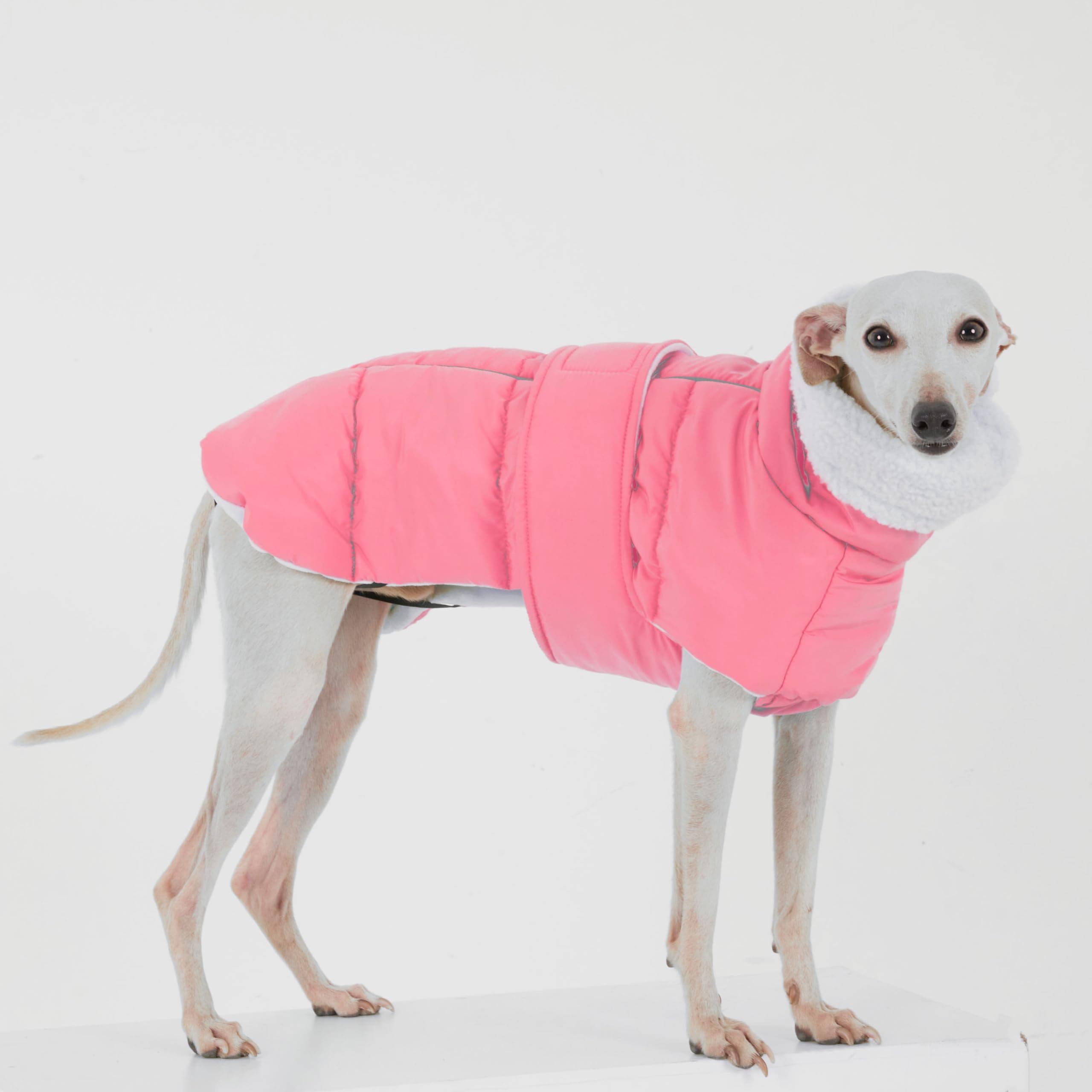 Veste d'hiver pour teckel et carillon éolien - Manteau imperméable avec doublure en polaire - Combinaison de neige rembourrée pour petits chiens (rose, M (6 à 9 kg)