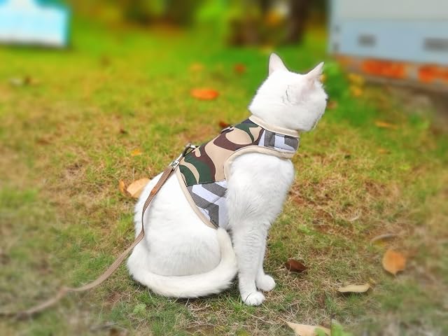 Foto 5 de 8 de Yizhi Miaow - Juego de arnés y Correa para Gatos, Elegante Chaleco Acolchado con arnés Ajustable para pasear…
