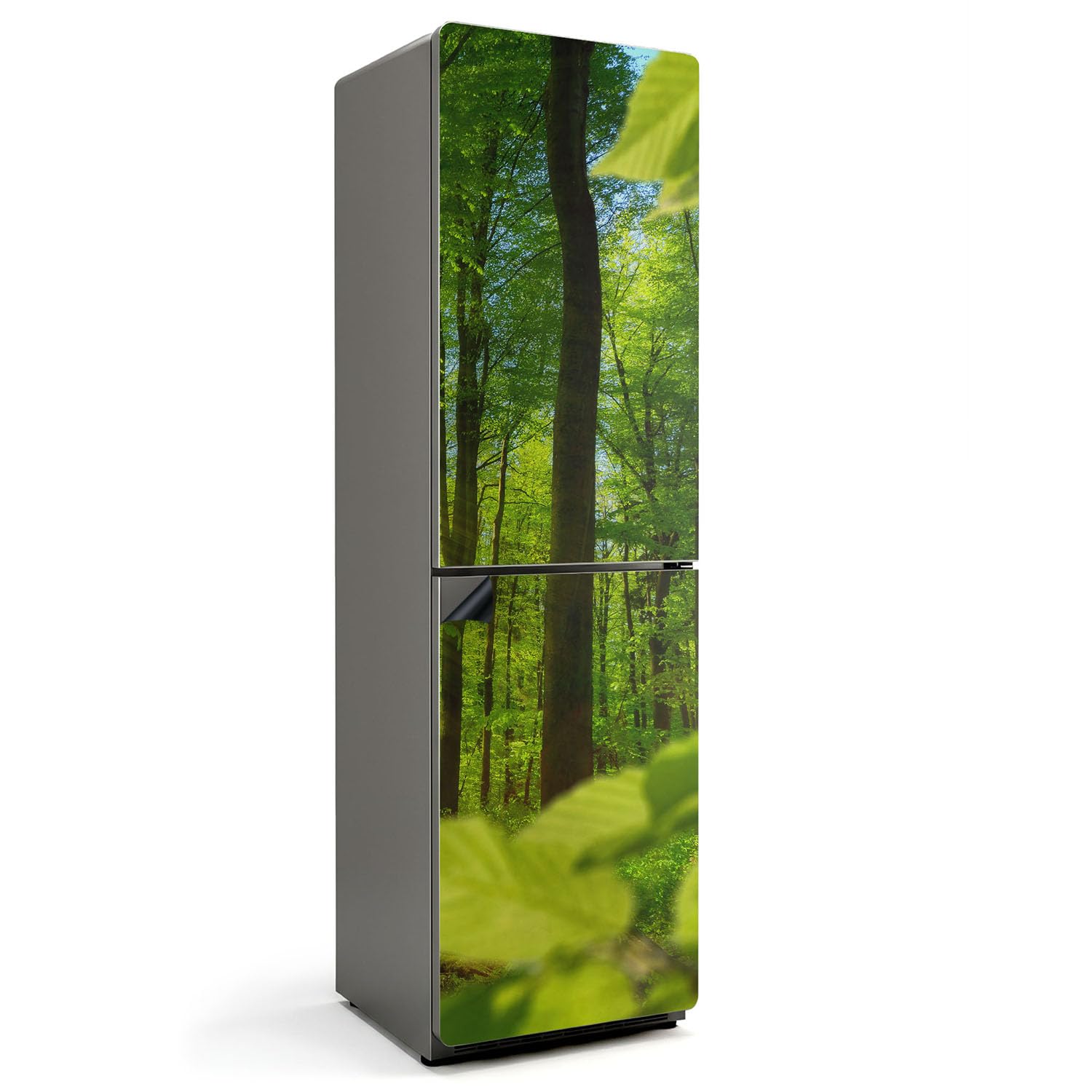 Tapis Magnétique Forêt Verte 60x205 cm pour Rénovation de Cuisine