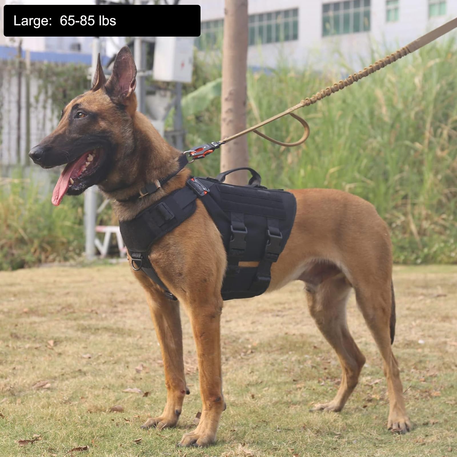 ICEFANG GN3 Tactical Dog Harness with 6X Buckle,Dog Molle Vest with Handle,3/4 Body Coverage,Hook and Loop Panel for ID Patch,No Pulling Front Clip (L (28