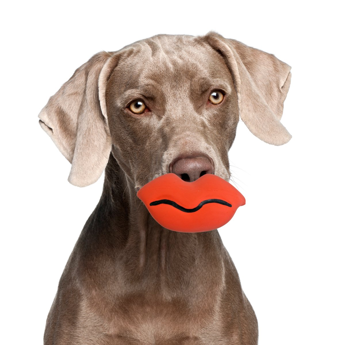 Gnawsome Silly Faces Lips Dog Chew Toy