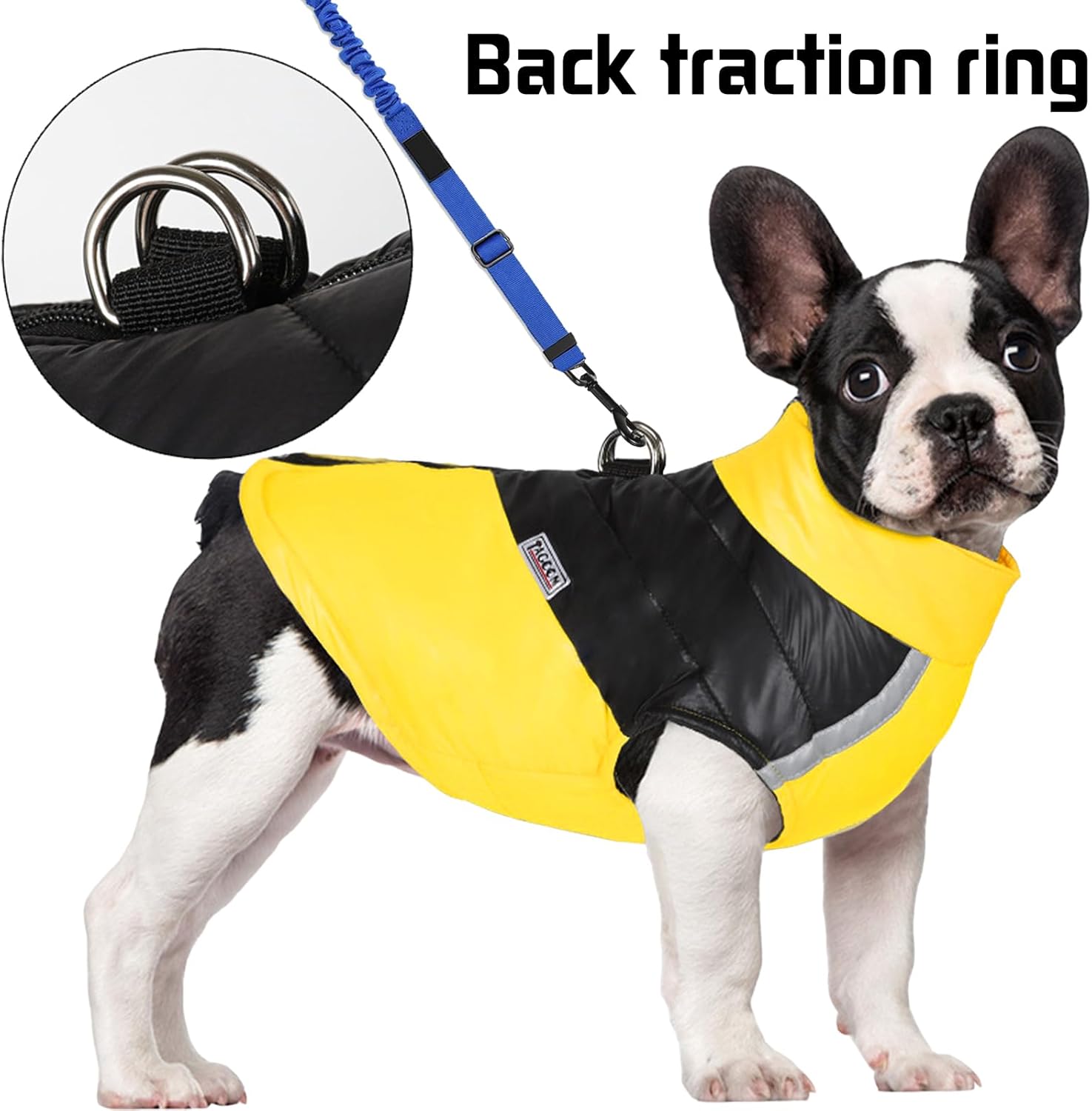 Detalji jakne za pse i patentni zatvarač