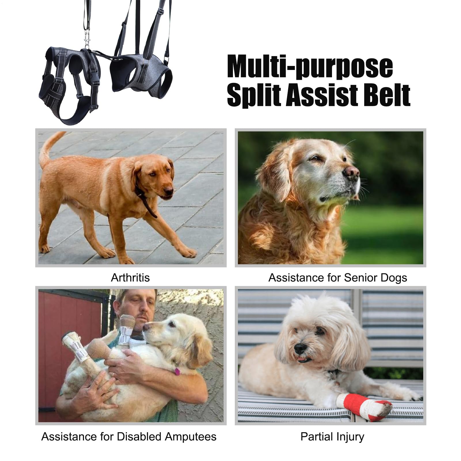 Imbracatura di sollevamento Gilet Regolabile Di Supporto Per Il Trasporto | Maniglie Sollevatore Per Cani Riabilitazione Addestramento Uscite Veterinario Scale