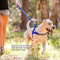 Vista 6 de Arnés ajustable para perro de EzyDog, S, Anaranjado