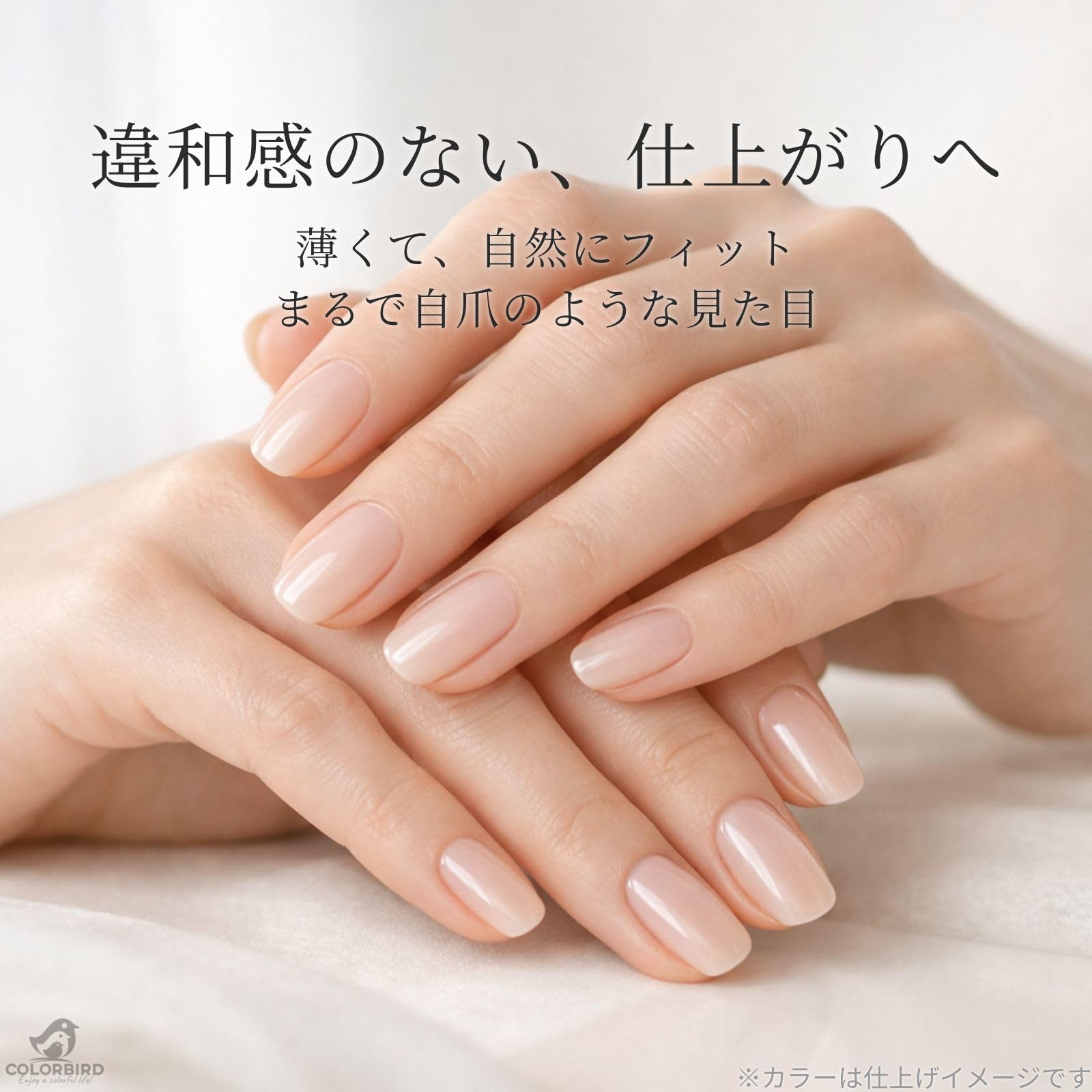 Amazon | COLORBIRD ネイルチップ Silvella ロング 0.1mm超薄 クリア