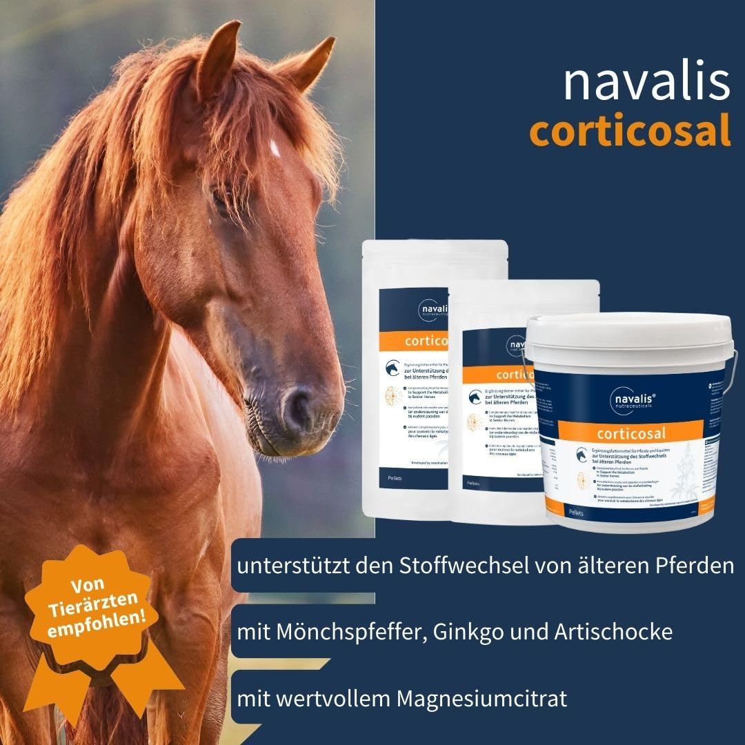 Corticosal Horse Refill worek 2000 g
