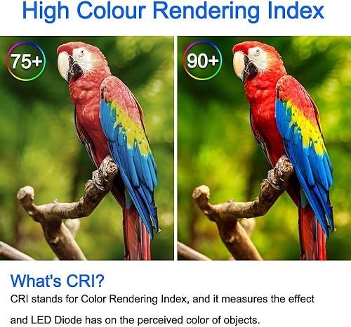 Miniatura 4 de Energetic BR30 - Luces LED de inundación para interiores, luz diurna 5000K, bombillas empotrables de 65 W, regulables, 750 lm, Energy Star y CRI 90,