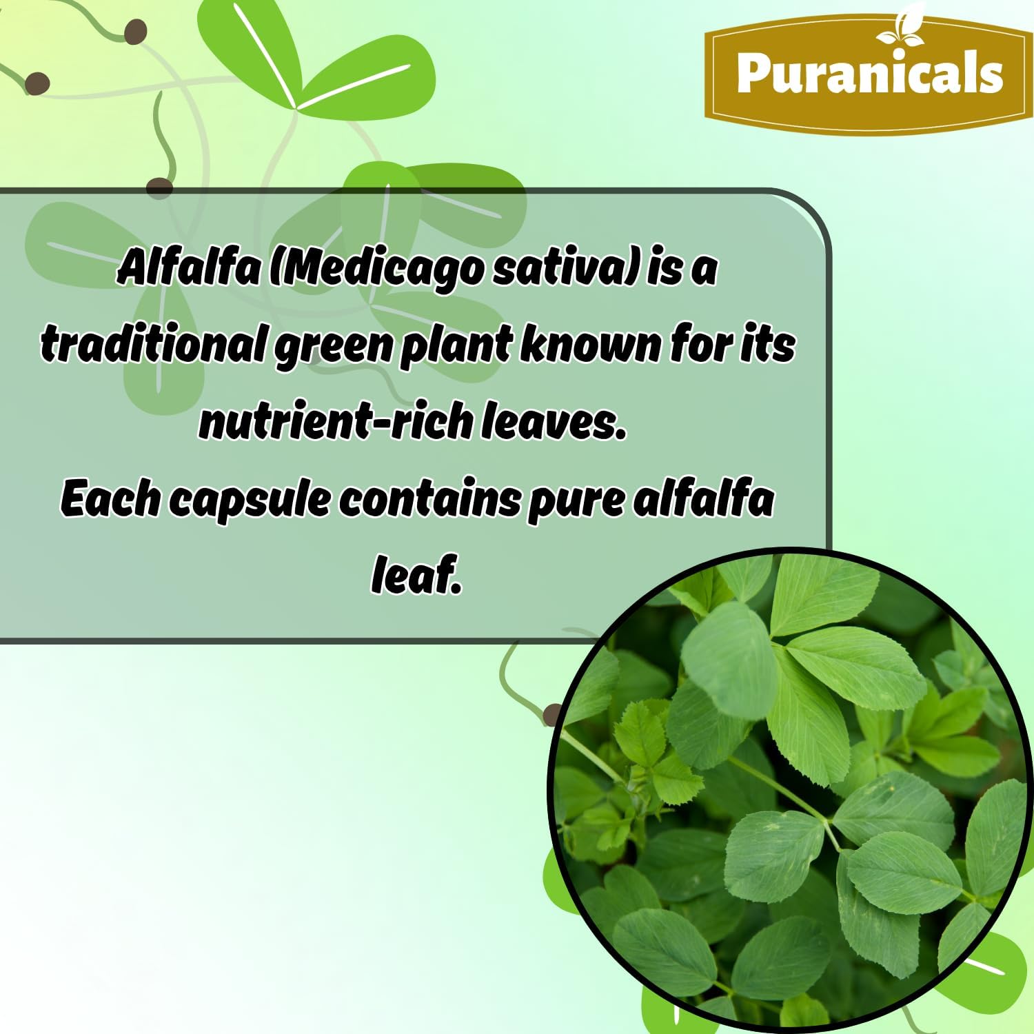 Alfalfa Capsules, Neem Capsules & Holy Basil Capsules - 320 Capsules Each- Herbal Capsule Variety Pack | Easy Daily Use | Non-GMO Ingredients, No Artificial Colors | Capsules Combo Pack