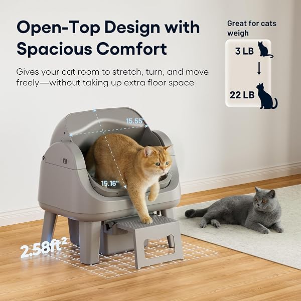 PetPivot Open Top Self Cleaning Cat Litter Box, Automatic Litter Box with 7 Pairs of Safety Sensors, Anti-Pinch Protection and Easy Access Step for Senior Cats, Dark Grey - 3
