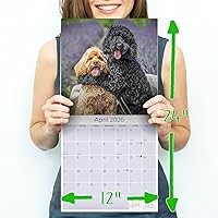 Vista 1139 de Razas de Perros 2017