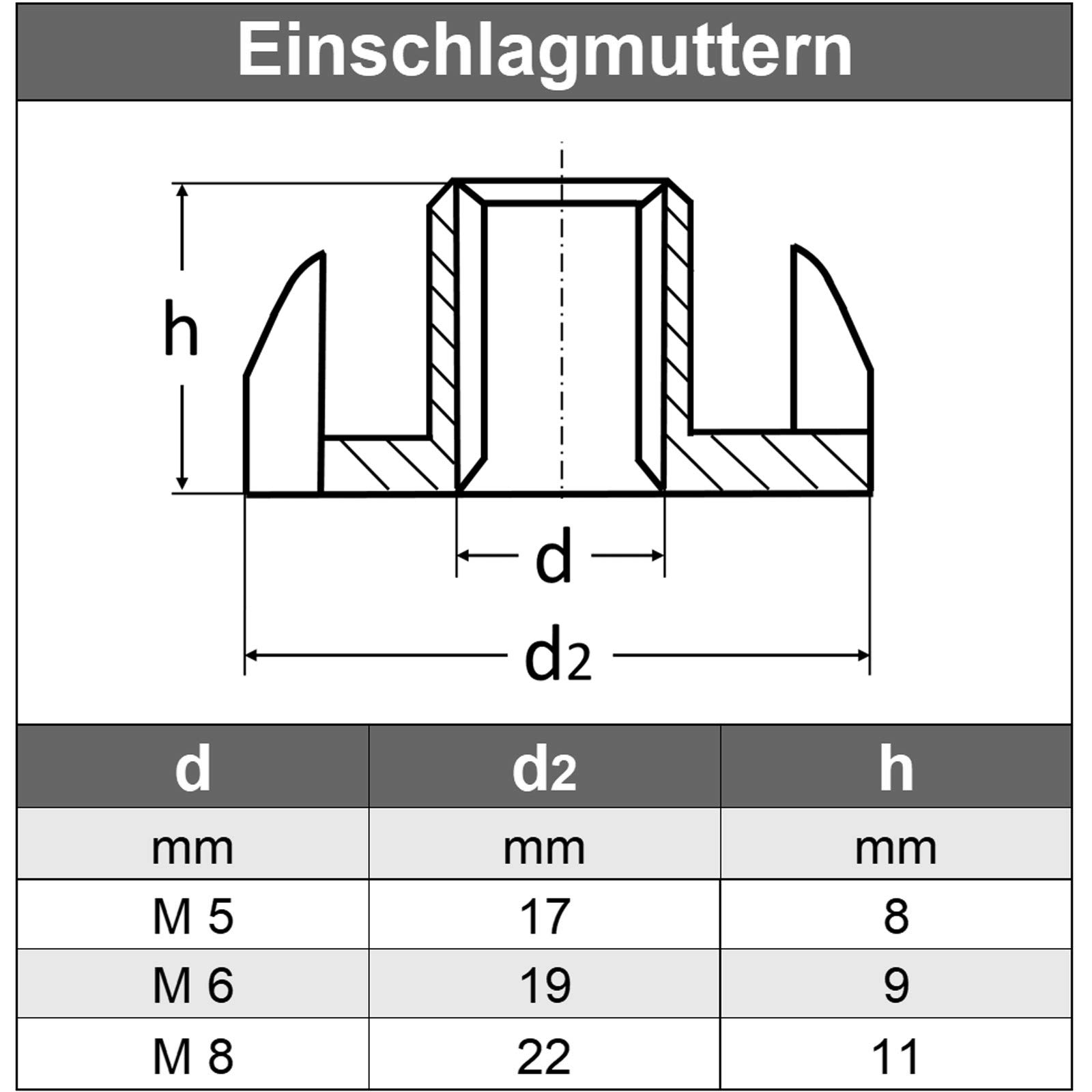 M8 (25 Stück) Einschlagmuttern mit Gewinde für Holz - Edelstahl VA A2 V2A - Schlag-muttern rostfrei | AGBERG