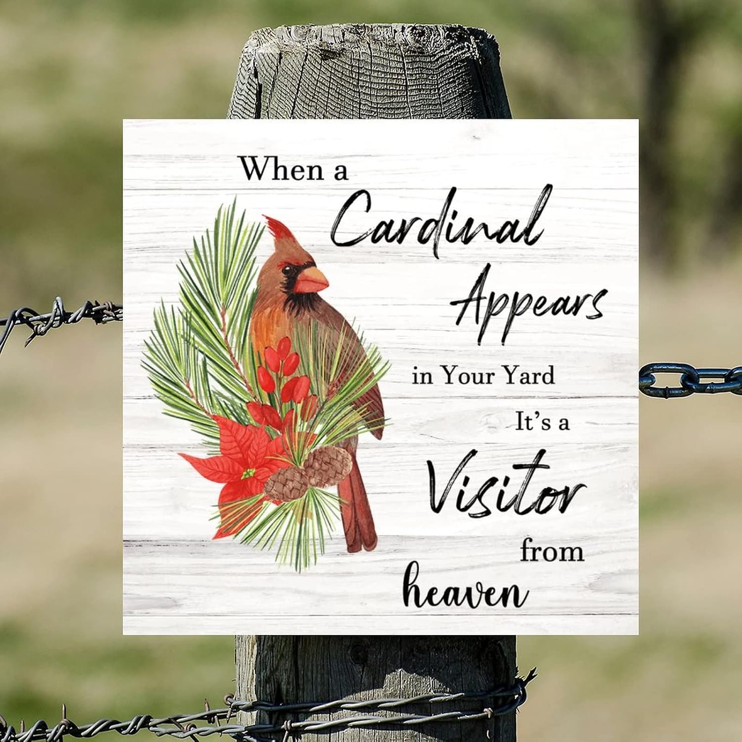 It's A Visitor from Heaven Wooden Sign Winter Red Bird Mistletoe Wood Plaque Sign Classic Holy Night Woodshop Garage Wall Decorative For Indoor Holiday Home Classroom Office Housewarming Gift 16x16in